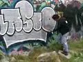 graff 08    wilck skun brayts doer reusk blasto iveck sock