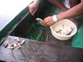 Pirana fishing in the Amazon