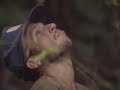 RAIN FOREST DESTRUCTION