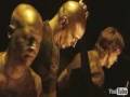 Esbjorn Svensson Trio - Goldwrap