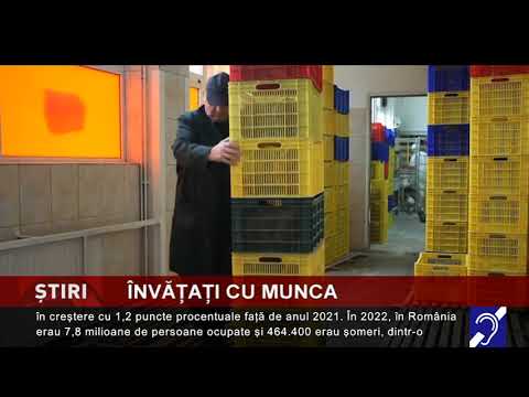 Învățați cu munca
