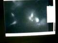 Fluorecent neurons