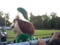 NNHS MASCOT