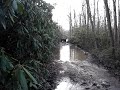 Video screenshot