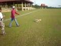 videos de My First DIY 3D Batix