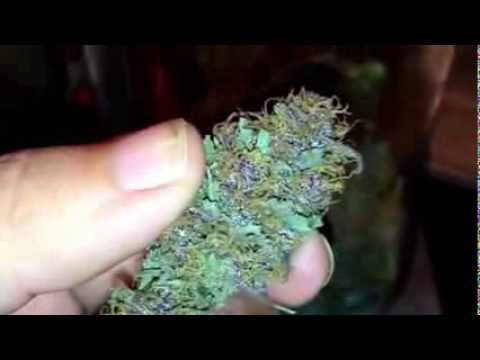 how to cure kush