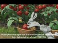 Косматая Варя ходит и поет "Наберу-ка я кореньев, сыроежек натащу..." Саетор ругается - вот, говорит, ведьминское отродье! А что делать - моя прабабушка действительно была лесной ведьмой! http://www.youtube.com/watch?v=vH_6-m9bsaE