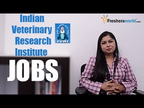 100% free essays image