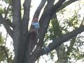the work climb