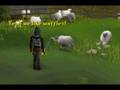 videos de [RSMV] Short - Waffles