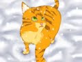 Squirrelflight- East Northlumberland High Squirrelflight- East Northlumberland High