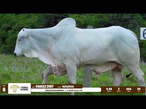 1� De Olho na Fazenda - Terra Nobre