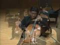 Rossini Duo, Mvt.I, for Cello and Double Bass (Wolf/Park)