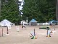 Saratoga USDAA Jumpers, May 26 2007