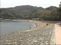 青柳裕介