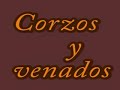 Venados y corzos en la montaña palentina