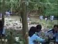 At Jungle