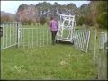 Calving Setup