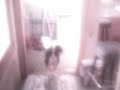 Trouble every day