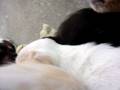 videos de Otro 016.mov