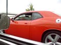 Nick sheridan cruise