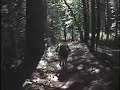 Downieville, CA - Yuba River, Halls Ranch, Fiddle Creek