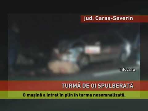O maşină a intrat într-o turmă de oi
