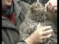 Hagenbeck Nachwuchs