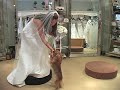 Bacio Bridal Bacio Bridal