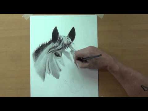 how to draw head of a horse