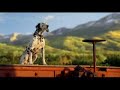 Budweiser Clydesdale Team Super bowl XLII Commercial ad 2008