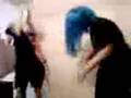 videos de rotten josh and frost surfin bird