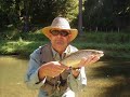 Small stream fly fishing, New Zealand 3