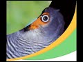 ancash-peru-y-sus-atractivos-turisticos.html