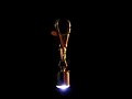 (uploaded by moedk)&nbsp;Flashling LED Dog Collar Pendant