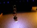 (uploaded by moedk)&nbsp;Flashling LED Dog Collar Pendant