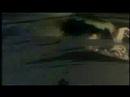 Cowboy Bebop AMV - Top Shelf