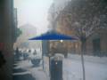 neve a saronno