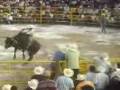 videos de 5 corrales vs papa d los pollitos d sn sebastián