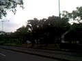 di jakarta