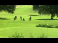 Chester Ditto Golf Course2 - foto 1
