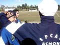 galera zoneando na torcida 