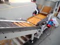 fritador automático contínuo