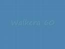 Walkera 60 prvni kroky, www.tochcimit.cz