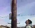 warren trying the clim a telliphone pole