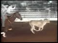 Rodeio Expoingá 2007 - Team Roping - Neto e Felipe