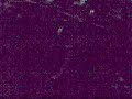 Mikontalo Great Destroyer (NIN music)
