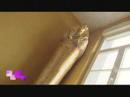 Brussels Welcome Hotel [BrusselsHotel.Travel]