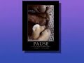 B.R. Moroni and Basil on Pet Talk