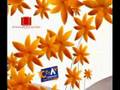videos de Emagiciens 2005